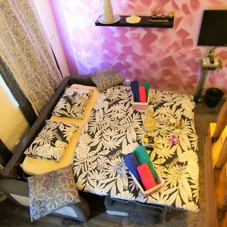 Cozy Daire